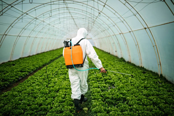 Best Mosquito Control Services  in Green Valley, SD