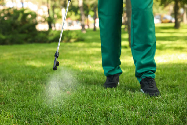 Best Emergency Pest Control  in Green Valley, SD
