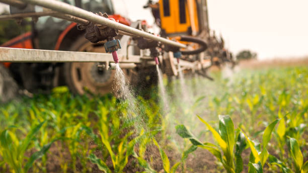Best Best Pest Control Companies  in Green Valley, SD
